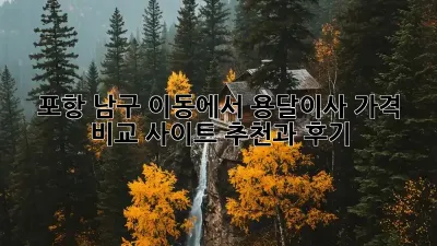 포항 남구 이동에서 용달이사? 가격 비교 사이트 추천과 후기!